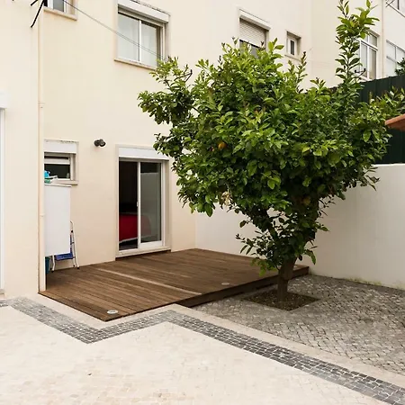 Apartment Ideal 3